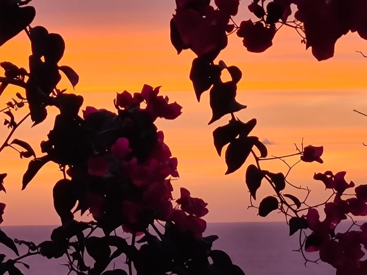 “Cielo E Mare”, Casetta Nel Cuore Del Borgo Antico / “Sky & Sea”, Charming In The Heart Of Old Village Castelsardo Eksteriør billede