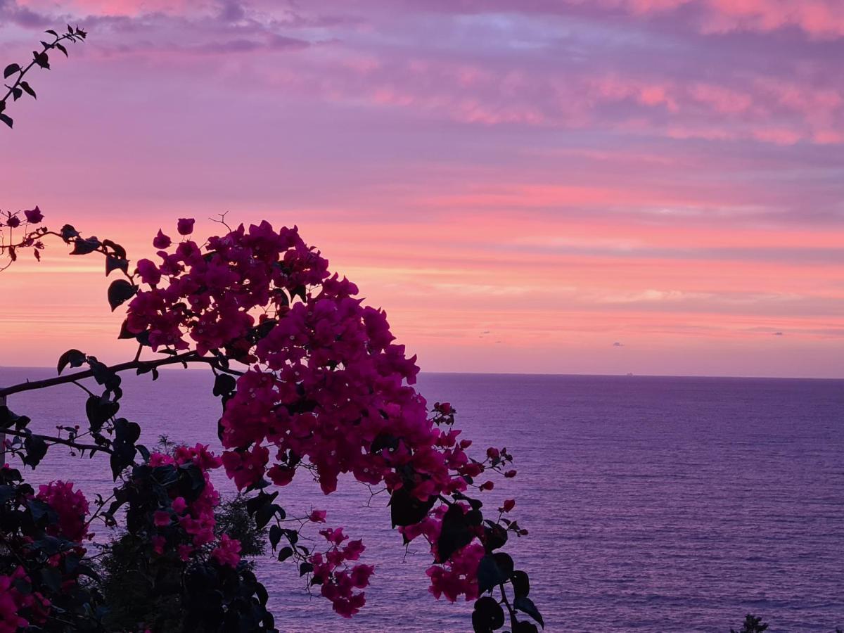 “Cielo E Mare”, Casetta Nel Cuore Del Borgo Antico / “Sky & Sea”, Charming In The Heart Of Old Village Castelsardo Eksteriør billede